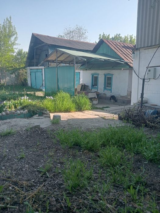 Продам 2 дома селекция