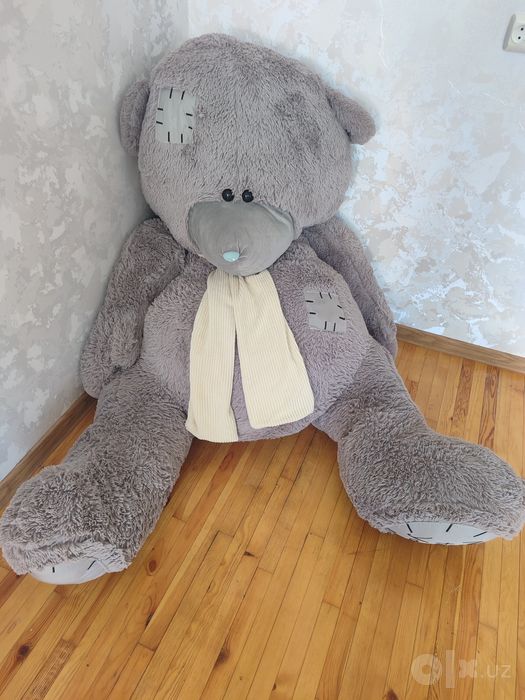 Judayam kotta bo'lgan teddy ayiqchasi