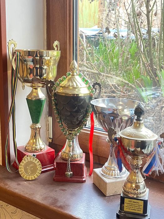 Продаю спортивные Кубки