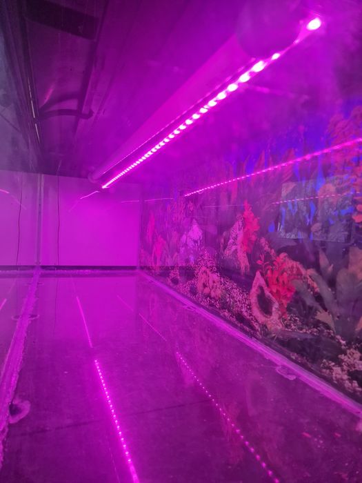 Acvariu 180 L cu capac si lumini