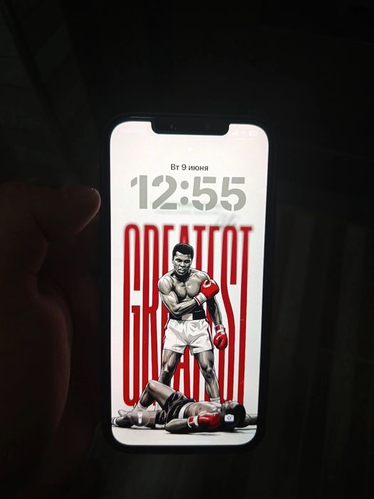 Iphone 12 Pro max 256 gb