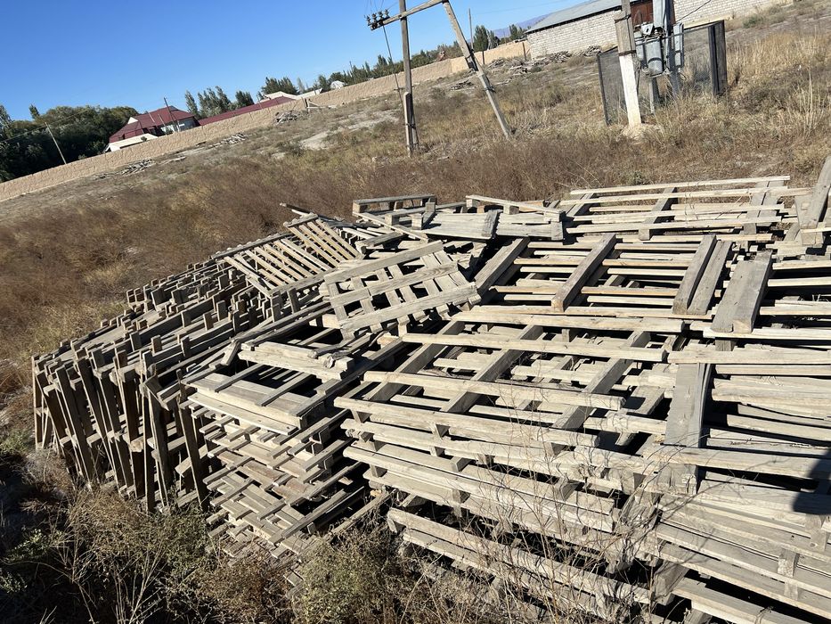Паддон сатылалы бәрінің жағдайы жақсы
