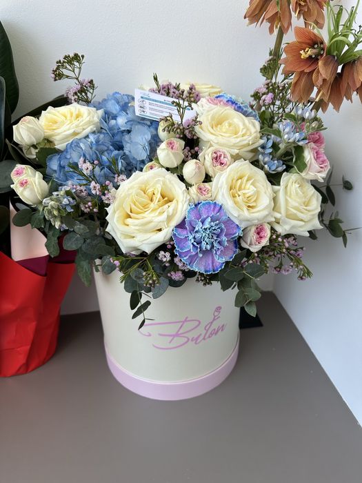 Продам цветы красивые