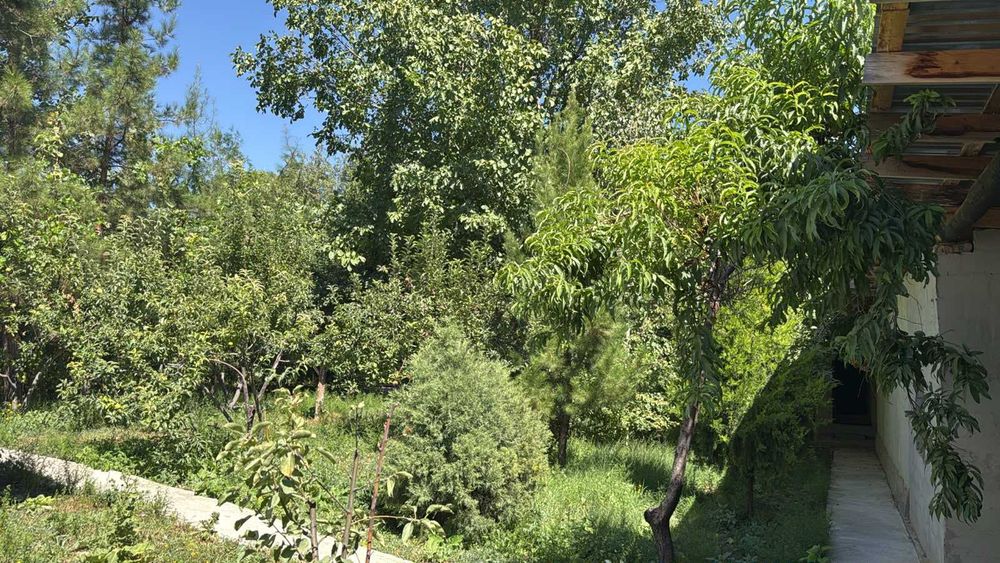 Срочно продается дом в с. Кулан в Тюлькубаский район