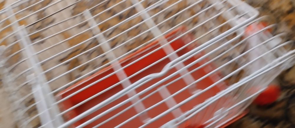 клетки старые от химиков