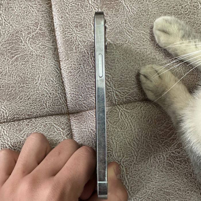 iphone 12 pro ideal holatda,sovg’aga 2 ta yangi chexol qo’shib beraman