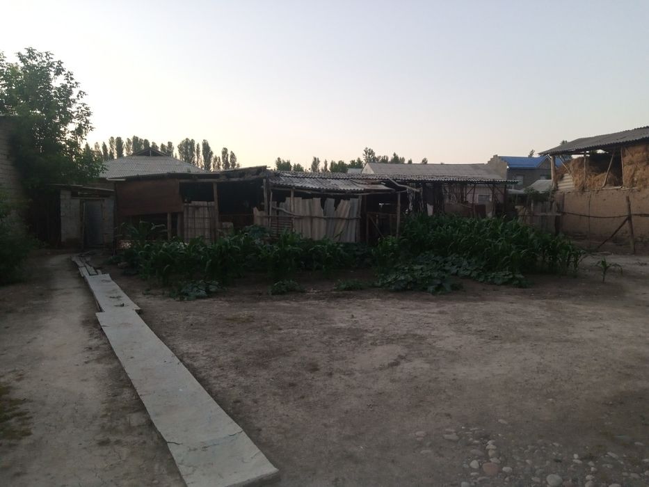 Uy sotiladi, 10 sõtix, 5 honali, $130 ming.