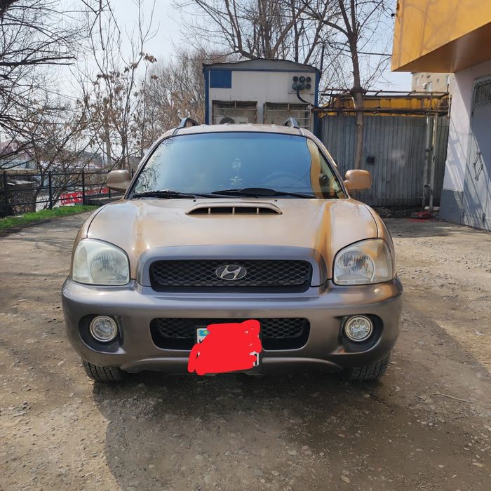 Машина Hyundai Santa Fe 2002