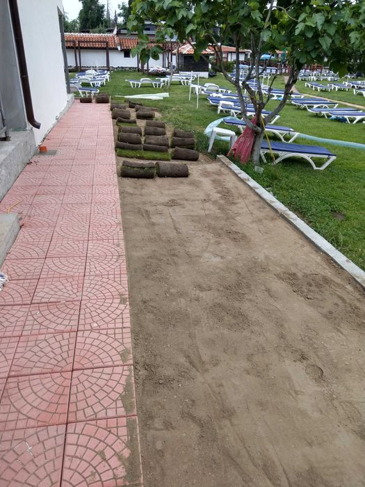 Тревен чим/райграс