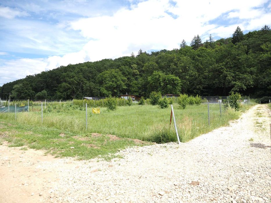 Teren intravilan la marginea padurii din Cristian, Brasov