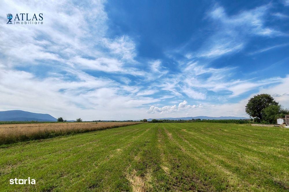 Loturi rezidențiale Cavalului, 500-700 mp, PUZ, utilități, Stupini