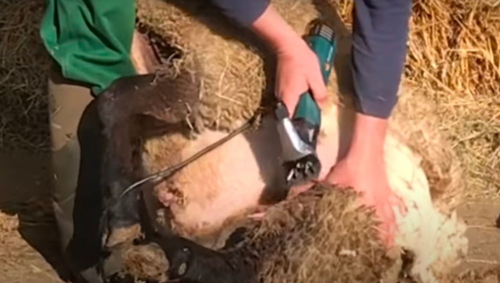 Куй юнгини ( жунини) ва аппаратларни тамирлаш хизмати.