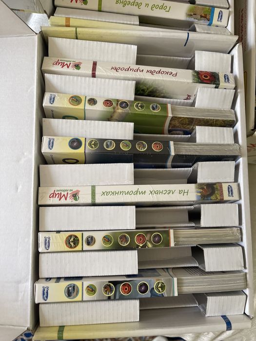 Мир на ладошке