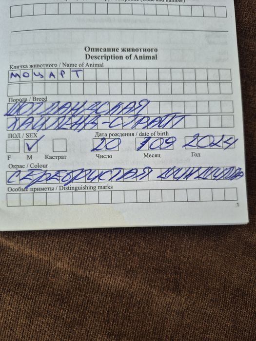 Отдам даром кота.