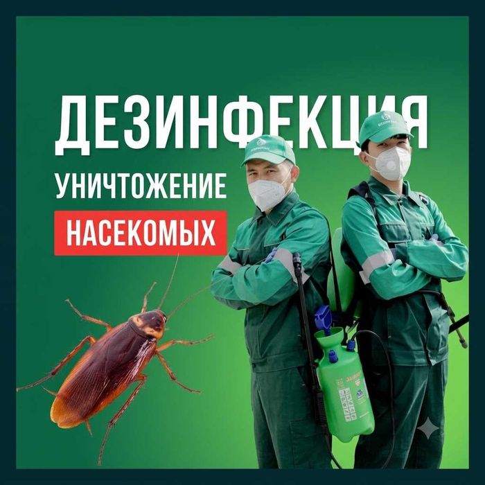 Дезинфекция | Dezinfeksiya ilon chayon | Клопы