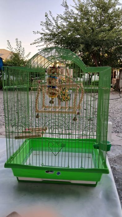 Клетка для попугаев,игрушки в подарок