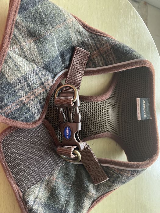 Кучешки нагръдник