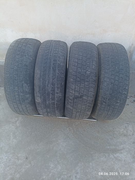 Avto shina   R15