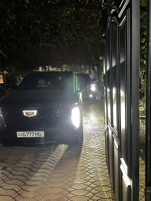 vizivnoy moyka 24/7 toshkent boylab avtomabil yuvish hizmati dastavka