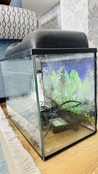 Акварум 35литр сатылымда