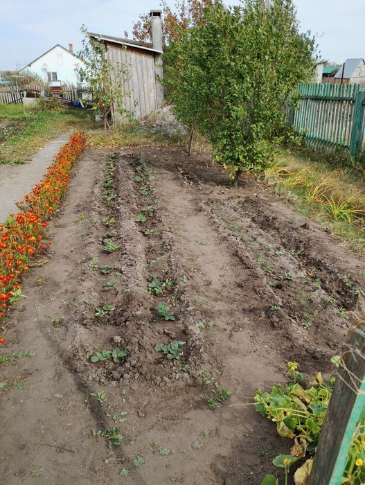 Частный дом в Байтереке
