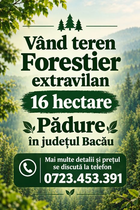 Teren extravilan forestier - Padure