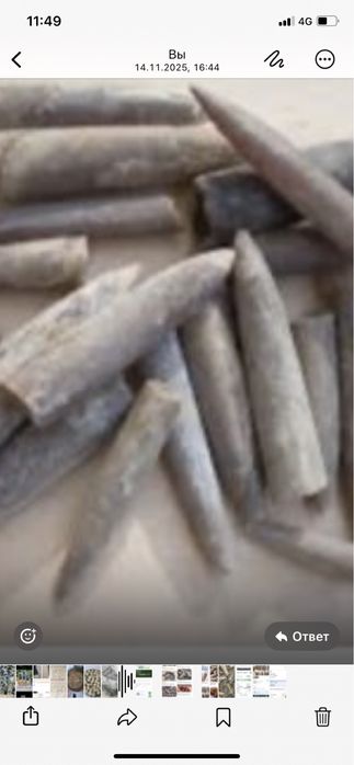 Продам Белемнит ( чертов палец)