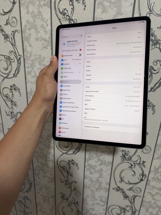 Ipad pro 12.9 256 gb