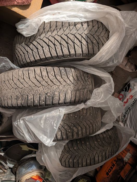 Зимние шины triangle