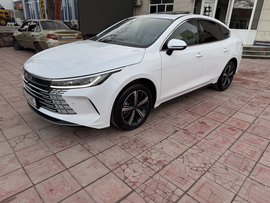 BYD чазор 3 позиция 120 талик