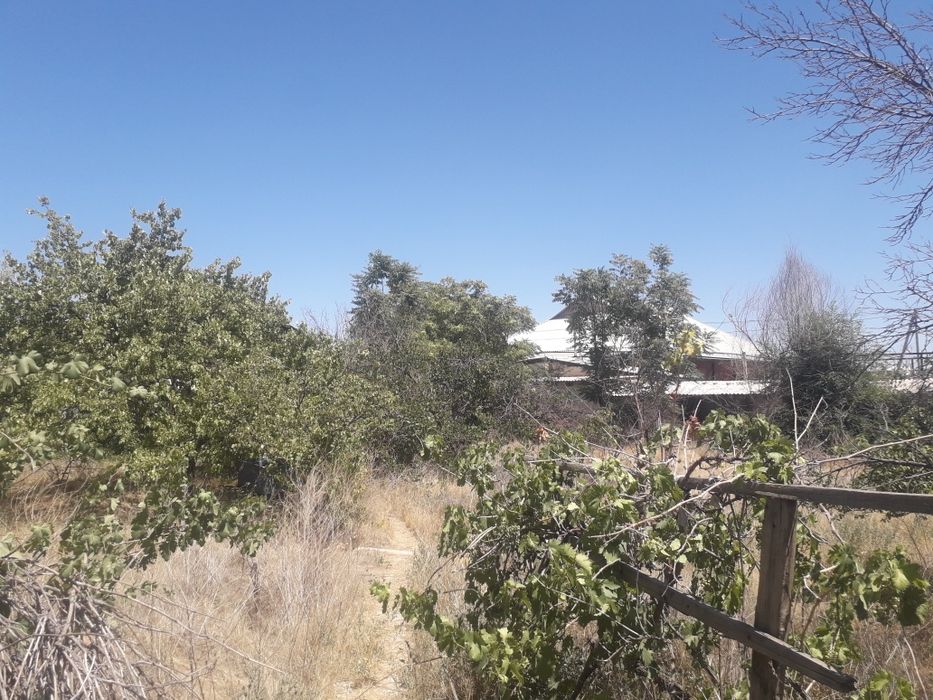 Продам дом в Туркестане.