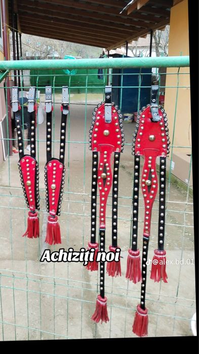 Vand zorzoane cai sau schimb cu alte pe alama plus