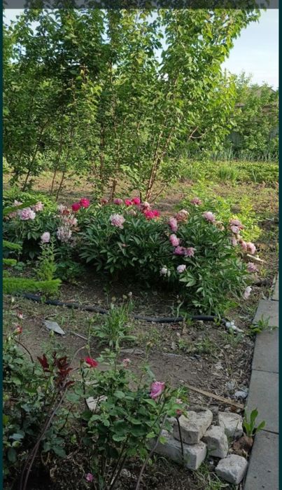 Продам дачу в районе " Келешек"