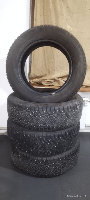 Зимние шины шипованные