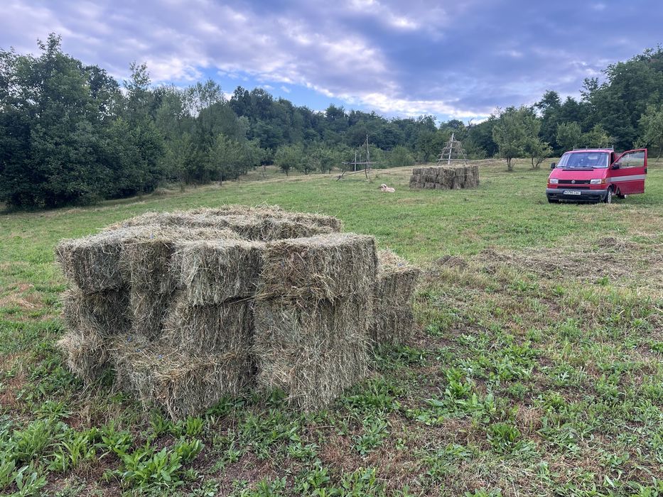 Vand baloti fân foarte bun