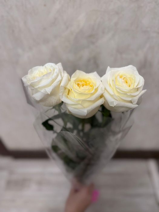 Продам  бархатные, голландские розы