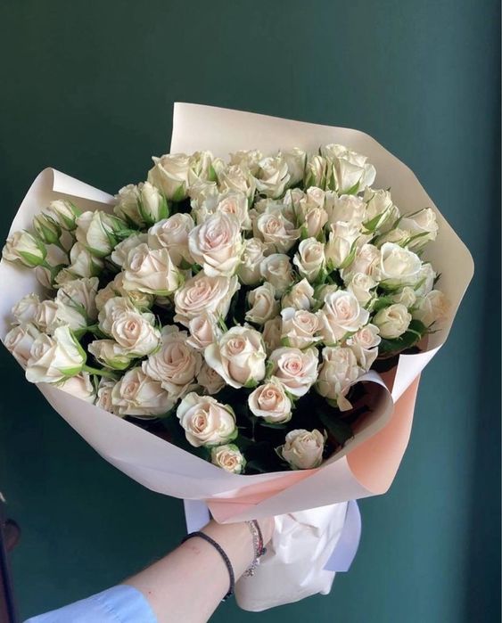 Низкие цены, широкий выбор