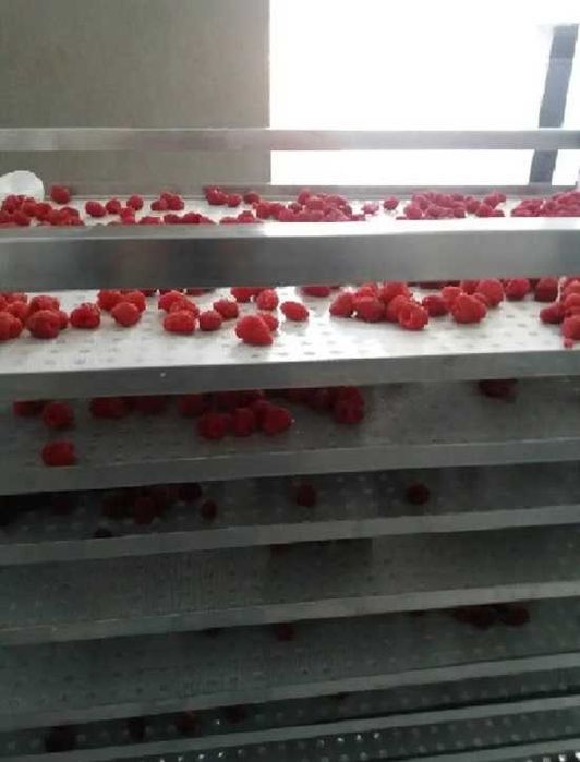 Uscator fructe si legume-control digital al parametrilor -200 kg/sarja