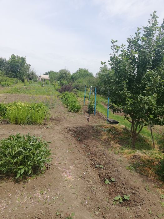 Продам дачу, вторая дачная второй поворот налево