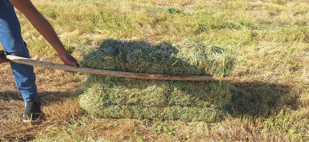 Прис сотилади 1 метирли дагал хашак