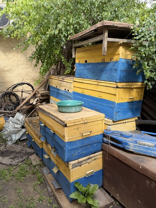 Продам деревянные улья для пчел б/у ( лежаки)
