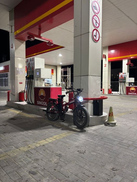 GEOPARD электровелик