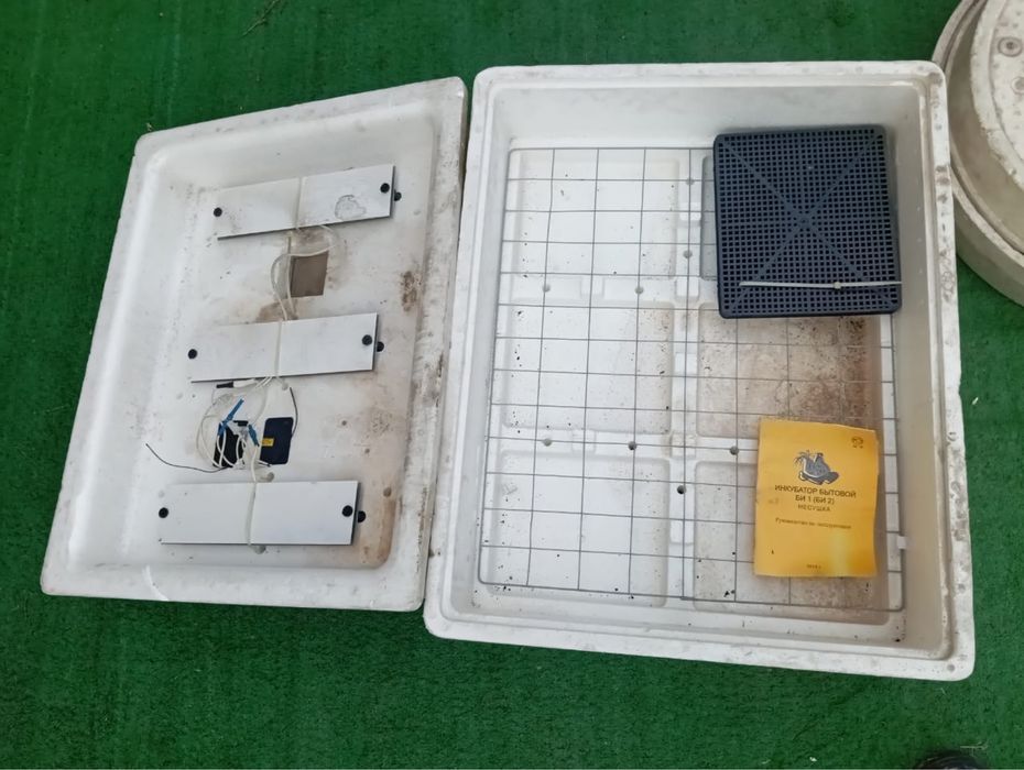 инкубатор для яиц