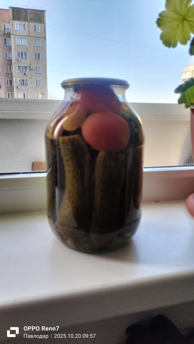 Продам соления домашние