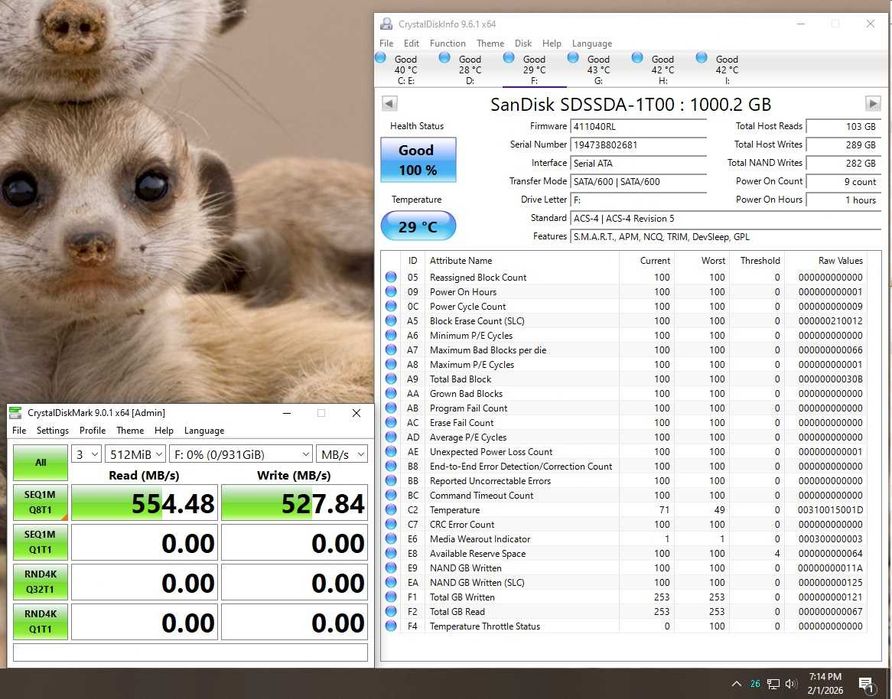 1TB SSD - Samsung, Crucial BX500, King Spec, SanDisk, WD