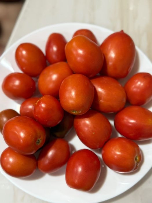 Продам помидоры дачные.