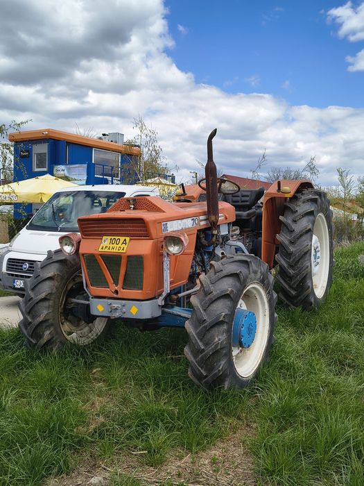 same leone • Anunturi gratuite • OLX.ro