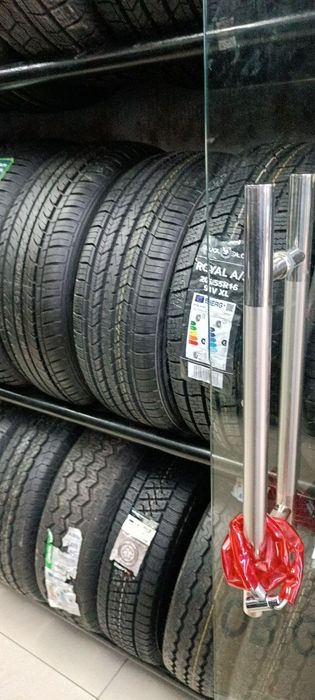 Lassa competus A/T 3