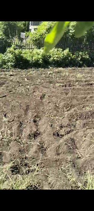 Срочно Продам Дачу не дорого
