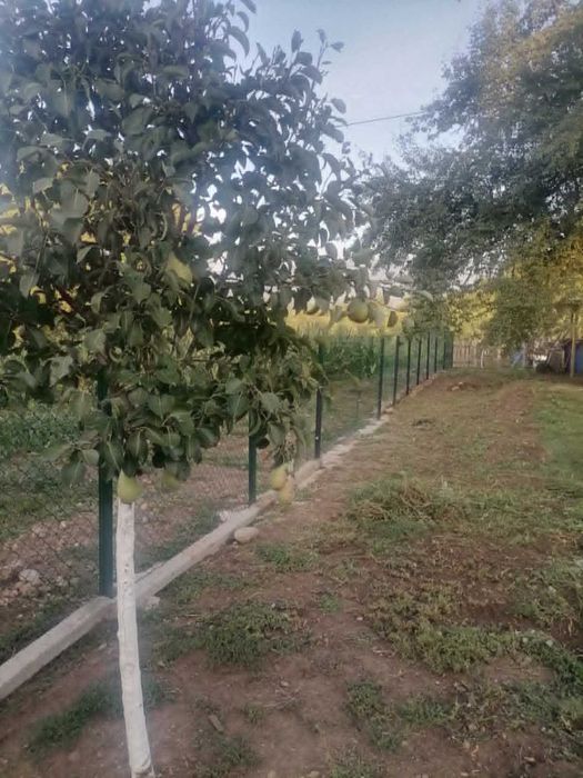Парцел, продажба, гр. Перник